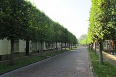 Fietsen rond Beesd