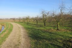 Fietsen rond Reuver