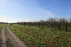 Fietsen rond Reuver