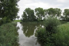 Fietsen rond Zoeterwoude