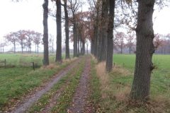 Wandelen rond Heusden