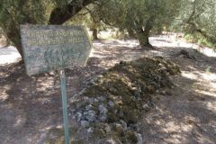 Wandelen rond Agalas