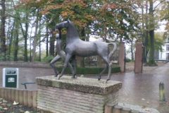 Wandelen rond Asperen