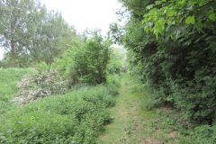 Wandelen rond Beegden