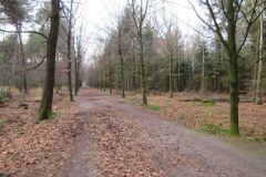 Wandelen rond Boxtel