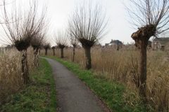 Wandelen rond Boxtel
