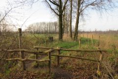 Wandelen rond Boxtel