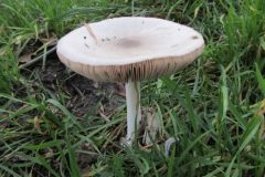 Wandelen rond Boxtel