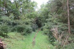 Wandelen rond Castricum