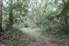 Wandelen rond Castricum
