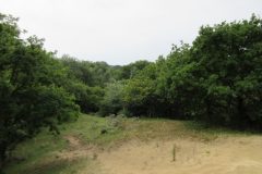 Wandelen rond Castricum