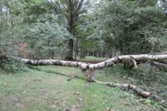 Wandelen rond Castricum
