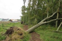 Wandelen rond Castricum