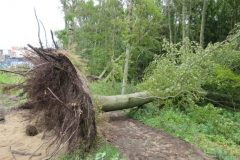 Wandelen rond Castricum