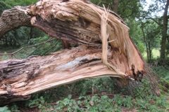 Wandelen rond Castricum