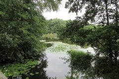 Wandelen rond Castricum