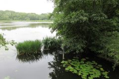 Wandelen rond Castricum