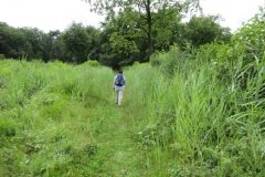Wandelen rond De Glind