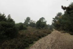 Wandelen rond Echten