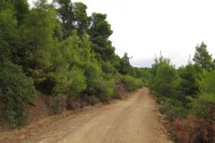 Wandelen rond Elia