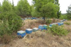 Wandelen rond Elia