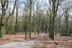 Wandelen rond Ellecom