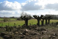 Wandelen rond Ellecom