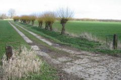 Wandelen rond Ellecom