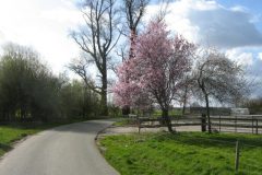 Wandelen rond Ellecom