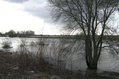 Wandelen rond Ellecom
