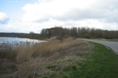 Wandelen rond Ellecom