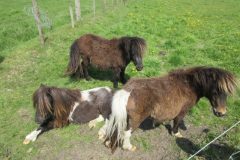 Wandelen rond Epe