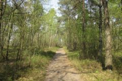 Wandelen rond Epe