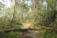 Wandelen rond Epe