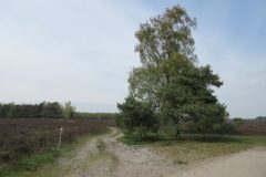 Wandelen rond Epe