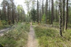 Wandelen rond Epe