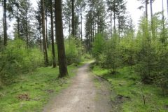 Wandelen rond Epe