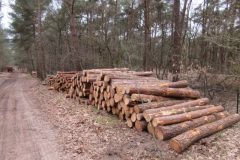 Wandelen rond Geldrop