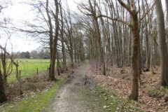 Wandelen rond Geldrop