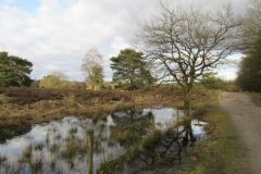 Wandelen rond Geldrop
