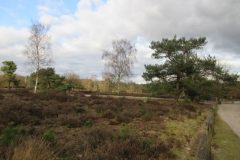 Wandelen rond Geldrop