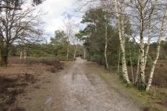 Wandelen rond Geldrop