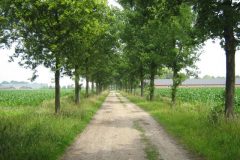 Wandelen rond Gemert