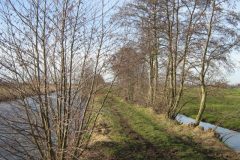 Wandelen rond Gouderak