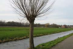 Wandelen rond Gouderak