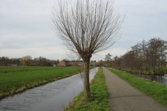 Wandelen rond Gouderak