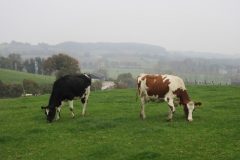 Wandelen rond Gulpen