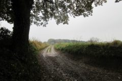 Wandelen rond Gulpen