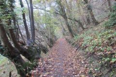 Wandelen rond Gulpen