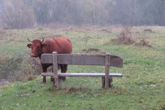 Wandelen rond Gulpen